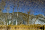 Reflection, Yosemite